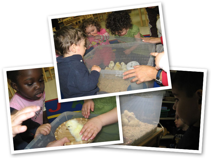 CasaVera Montessori School